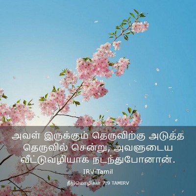 Picture 03 - நீதிமொழிகள் 7:9 TAMIRV - அவள் இருக்கும் - Bible Verse Picture