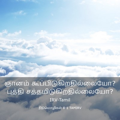 Picture 03 - நீதிமொழிகள் 8:1 TAMIRV - ஞானம் - Bible Verse Picture