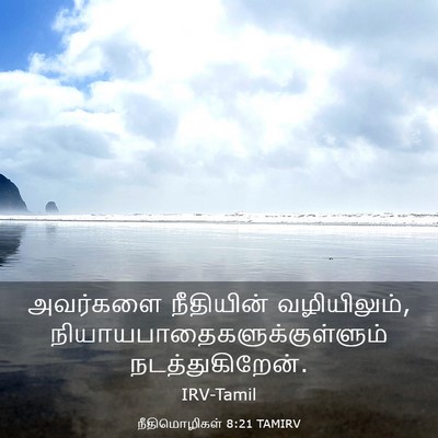Picture 03 - நீதிமொழிகள் 8:21 TAMIRV - அவர்களை நீதியின் - Bible Verse Picture