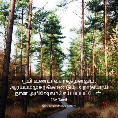 Picture 03 - நீதிமொழிகள் 8:23 TAMIRV - பூமி - Bible Verse Picture