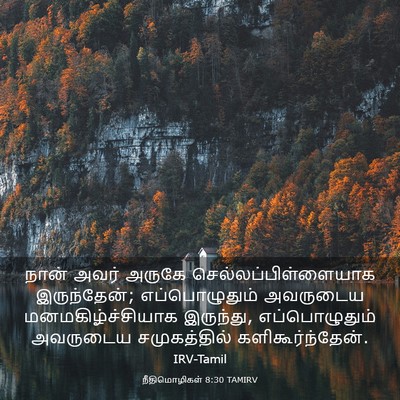 Picture 03 - நீதிமொழிகள் 8:30 TAMIRV - நான் அவர் அருகே - Bible Verse Picture