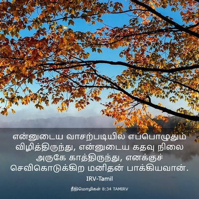 Picture 03 - நீதிமொழிகள் 8:34 TAMIRV - என்னுடைய - Bible Verse Picture