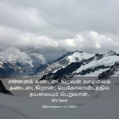 Picture 03 - நீதிமொழிகள் 8:35 TAMIRV - என்னைக் - Bible Verse Picture