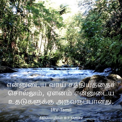 Picture 03 - நீதிமொழிகள் 8:7 TAMIRV - என்னுடைய வாய் - Bible Verse Picture