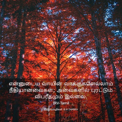 Picture 03 - நீதிமொழிகள் 8:8 TAMIRV - என்னுடைய வாயின் - Bible Verse Picture