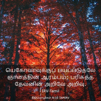 Picture 03 - நீதிமொழிகள் 9:10 TAMIRV - யெகோவாவுக்குப் - Bible Verse Picture