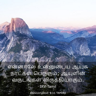 Picture 03 - நீதிமொழிகள் 9:11 TAMIRV - என்னாலே உன்னுடைய - Bible Verse Picture