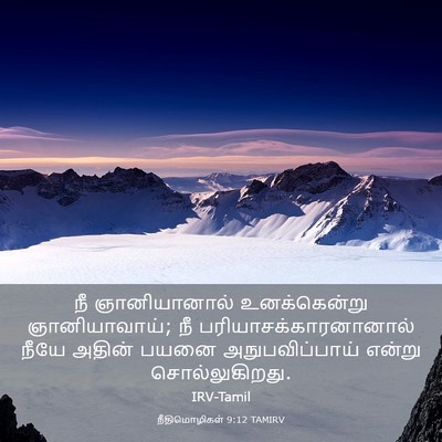 Picture 03 - நீதிமொழிகள் 9:12 TAMIRV - நீ ஞானியானால் - Bible Verse Picture
