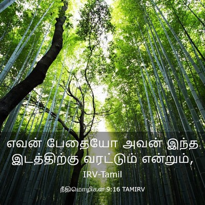 Picture 03 - நீதிமொழிகள் 9:16 TAMIRV - எவன் பேதையோ அவன் - Bible Verse Picture