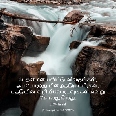 Picture 03 - நீதிமொழிகள் 9:6 TAMIRV - பேதமையைவிட்டு - Bible Verse Picture