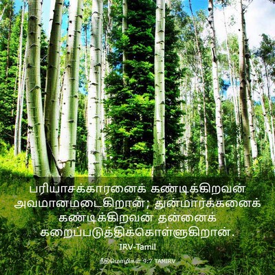 Picture 03 - நீதிமொழிகள் 9:7 TAMIRV - பரியாசக்காரனைக் - Bible Verse Picture