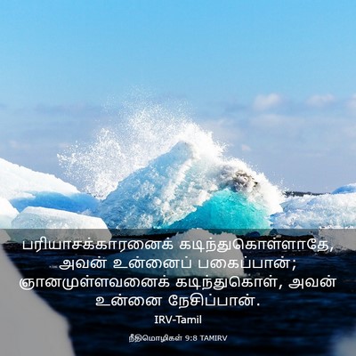 Picture 03 - நீதிமொழிகள் 9:8 TAMIRV - பரியாசக்காரனைக் - Bible Verse Picture
