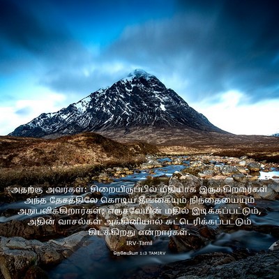 Picture 03 - நெகேமியா 1:3 TAMIRV - அதற்கு அவர்கள்: - Bible Verse Picture