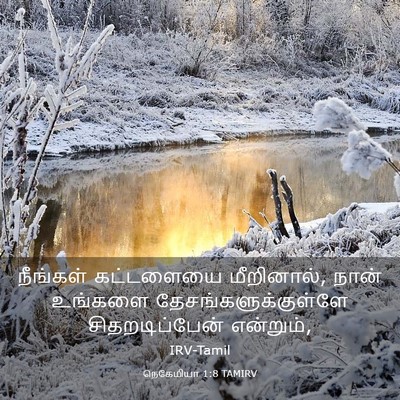 Picture 03 - நெகேமியா 1:8 TAMIRV - நீங்கள் கட்டளையை - Bible Verse Picture