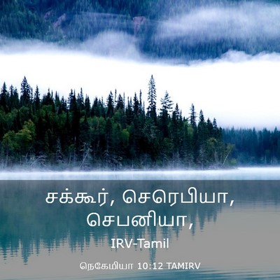Picture 03 - நெகேமியா 10:12 TAMIRV - சக்கூர், செரெபியா, - Bible Verse Picture