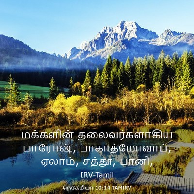 Picture 03 - நெகேமியா 10:14 TAMIRV - மக்களின் - Bible Verse Picture