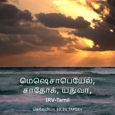 Picture 03 - நெகேமியா 10:21 TAMIRV - மெஷெசாபெயேல், - Bible Verse Picture