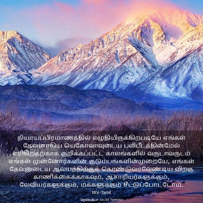 Picture 03 - நெகேமியா 10:34 TAMIRV -  - Bible Verse Picture