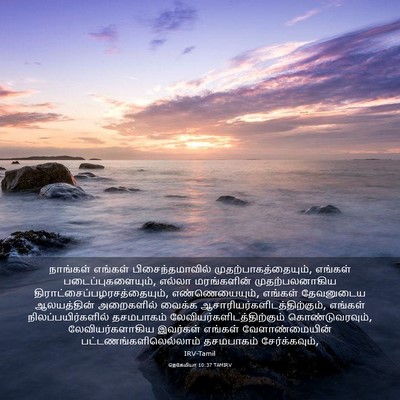 Picture 03 - நெகேமியா 10:37 TAMIRV - நாங்கள் எங்கள் - Bible Verse Picture