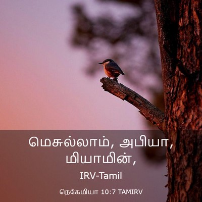 Picture 03 - நெகேமியா 10:7 TAMIRV - மெசுல்லாம், அபியா, - Bible Verse Picture