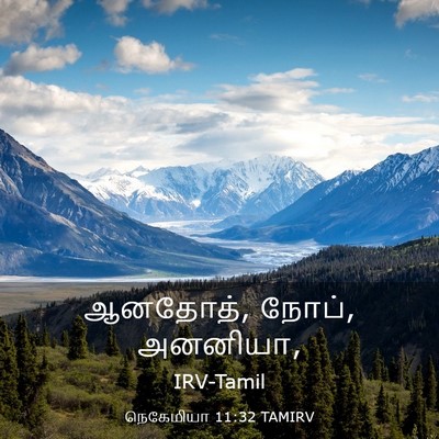 Picture 03 - நெகேமியா 11:32 TAMIRV - ஆனதோத், நோப், - Bible Verse Picture