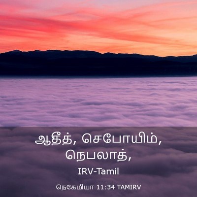 Picture 03 - நெகேமியா 11:34 TAMIRV - ஆதீத், செபோயிம், - Bible Verse Picture