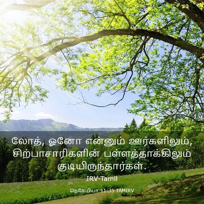 Picture 03 - நெகேமியா 11:35 TAMIRV - லோத், ஓனோ என்னும் - Bible Verse Picture