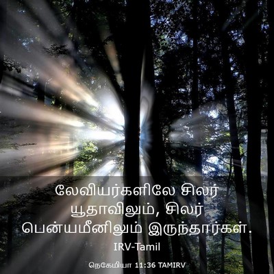 Picture 03 - நெகேமியா 11:36 TAMIRV - லேவியர்களிலே - Bible Verse Picture