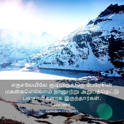 Picture 03 - நெகேமியா 11:6 TAMIRV - எருசலேமிலே - Bible Verse Picture