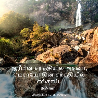 Picture 03 - நெகேமியா 12:15 TAMIRV - ஆரீமின் - Bible Verse Picture