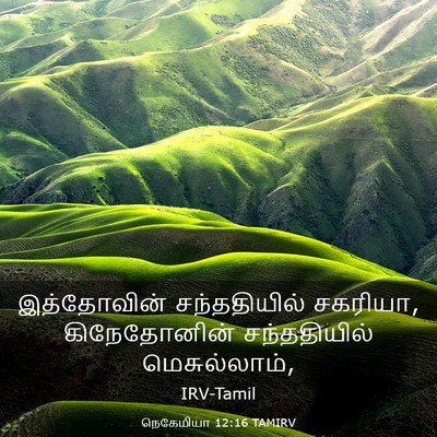 Picture 03 - நெகேமியா 12:16 TAMIRV - இத்தோவின் - Bible Verse Picture