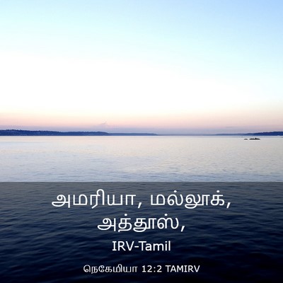 Picture 03 - நெகேமியா 12:2 TAMIRV - அமரியா, மல்லூக், - Bible Verse Picture