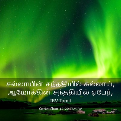 Picture 03 - நெகேமியா 12:20 TAMIRV - சல்லாயின் - Bible Verse Picture