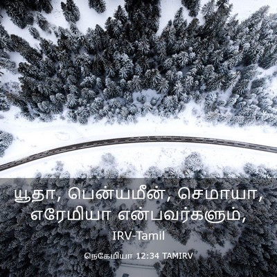 Picture 03 - நெகேமியா 12:34 TAMIRV - யூதா, பென்யமீன், - Bible Verse Picture