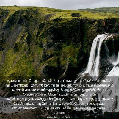 Picture 03 - நெகேமியா 12:47 TAMIRV - ஆகையால் - Bible Verse Picture