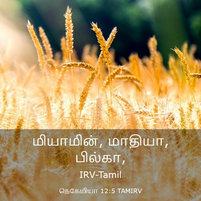 Picture 03 - நெகேமியா 12:5 TAMIRV - மியாமின், மாதியா, - Bible Verse Picture