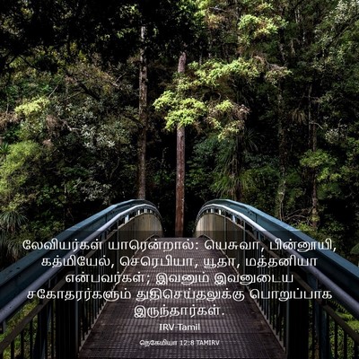 Picture 03 - நெகேமியா 12:8 TAMIRV - லேவியர்கள் - Bible Verse Picture