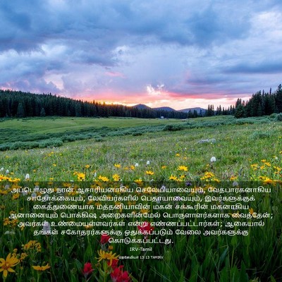Picture 03 - நெகேமியா 13:13 TAMIRV - அப்பொழுது நான் - Bible Verse Picture
