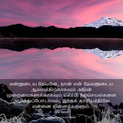 Picture 03 - நெகேமியா 13:14 TAMIRV - என்னுடைய தேவனே, - Bible Verse Picture