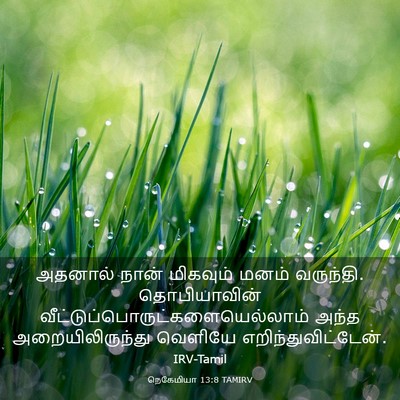 Picture 03 - நெகேமியா 13:8 TAMIRV - அதனால் நான் - Bible Verse Picture