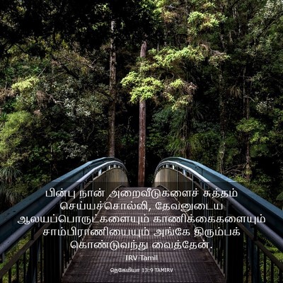 Picture 03 - நெகேமியா 13:9 TAMIRV - பின்பு நான் - Bible Verse Picture