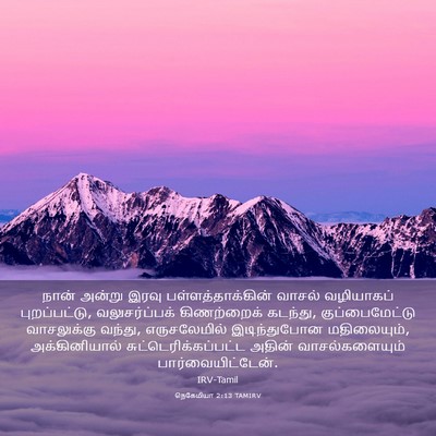 Picture 03 - நெகேமியா 2:13 TAMIRV - நான் அன்று இரவு - Bible Verse Picture