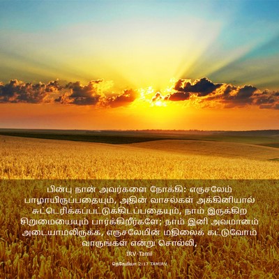 Picture 03 - நெகேமியா 2:17 TAMIRV - பின்பு நான் - Bible Verse Picture
