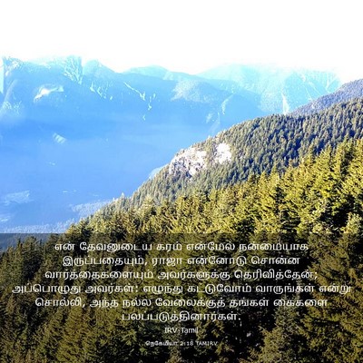Picture 03 - நெகேமியா 2:18 TAMIRV - என் தேவனுடைய கரம் - Bible Verse Picture