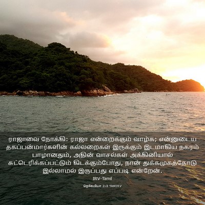 Picture 03 - நெகேமியா 2:3 TAMIRV - ராஜாவை நோக்கி: - Bible Verse Picture