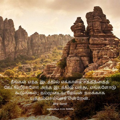 Picture 03 - நெகேமியா 4:20 TAMIRV - நீங்கள் எந்த - Bible Verse Picture