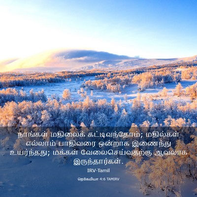 Picture 03 - நெகேமியா 4:6 TAMIRV - நாங்கள் மதிலைக் - Bible Verse Picture