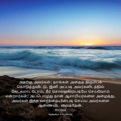 Picture 03 - நெகேமியா 5:12 TAMIRV - அதற்கு அவர்கள்: - Bible Verse Picture