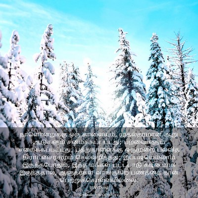 Picture 03 - நெகேமியா 5:18 TAMIRV - நாளொன்றுக்கு ஒரு - Bible Verse Picture