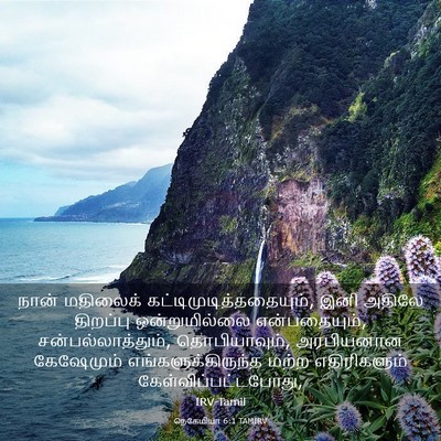 Picture 03 - நெகேமியா 6:1 TAMIRV - நான் மதிலைக் - Bible Verse Picture